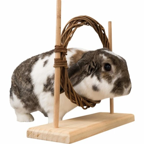 Trixie Kanin Aktivitets Sæt med forhindring og ring